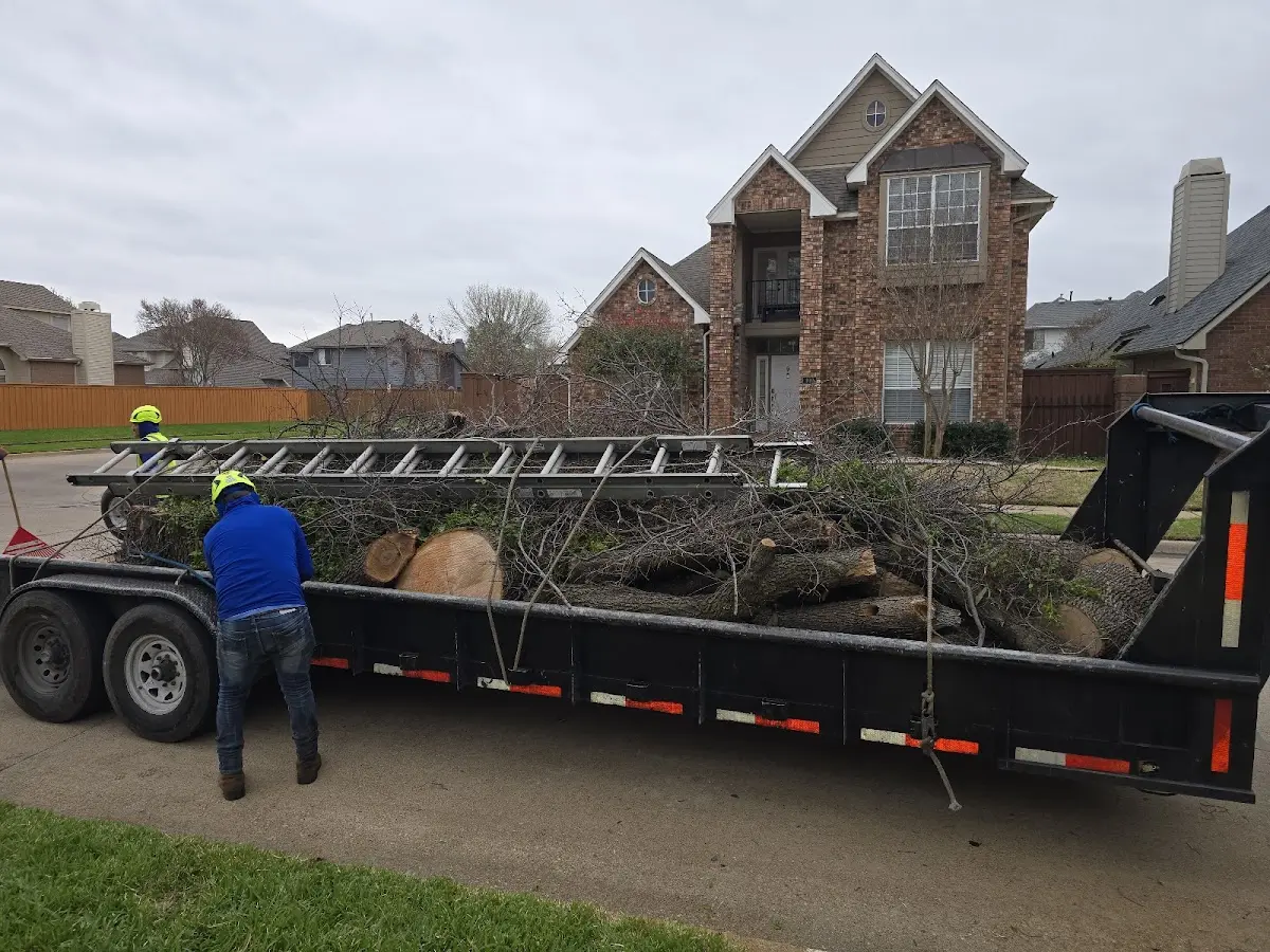 Expert Tree Pest Control with proper safety equipment in Dell Rapids